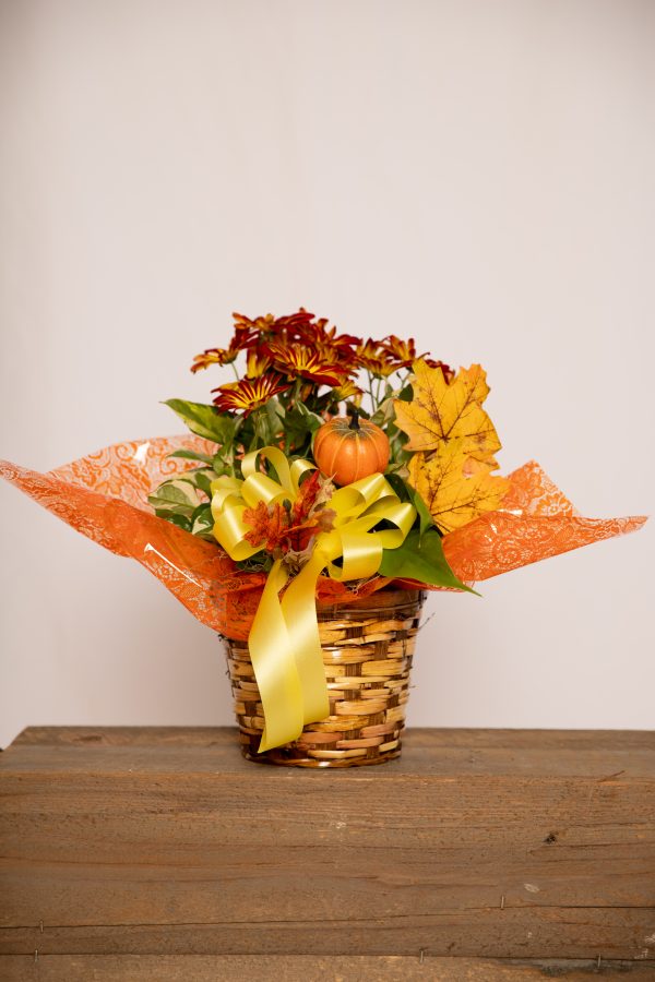 Fall Basket