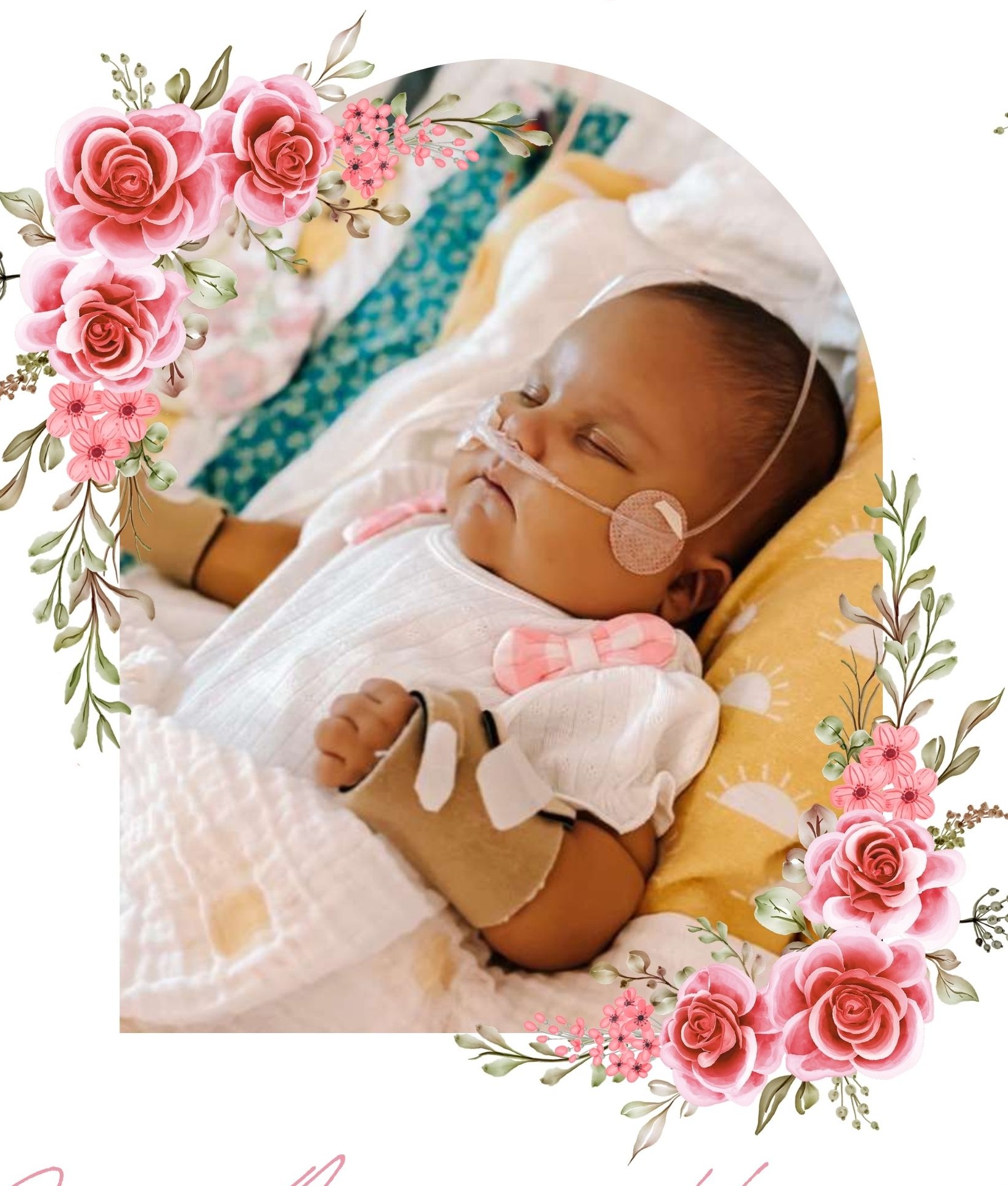 Dove Athena  Hostetler