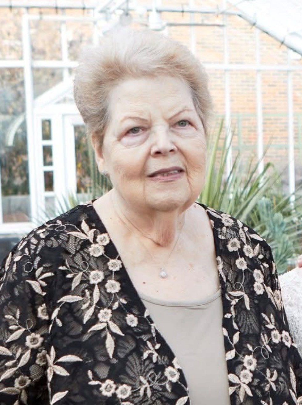 Dorothy Mcelveen